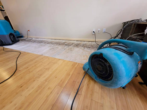 Professional Water Damage Repair technician working in Haverhill, NH